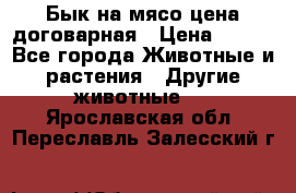 Бык на мясо цена договарная › Цена ­ 300 - Все города Животные и растения » Другие животные   . Ярославская обл.,Переславль-Залесский г.